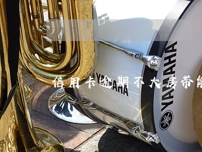 信用卡逾期不大房带能贷吗 信用卡逾期不大房带能贷吗