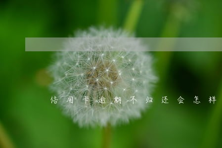 信用卡逾期不归还会怎样 信用卡逾期不归还会怎样