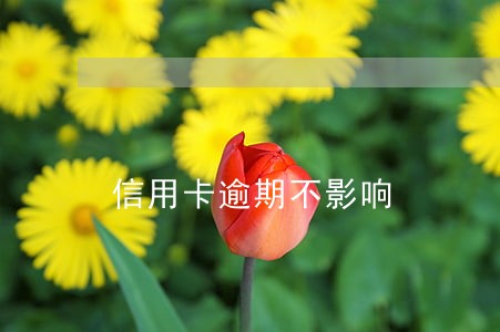 信用卡逾期不影响 信用卡逾期不影响