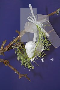 信用卡逾期不影响房贷怎么办 信用卡逾期不影响房贷怎么办