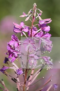 信用卡逾期不想当老赖怎么办 信用卡逾期不想当老赖怎么办