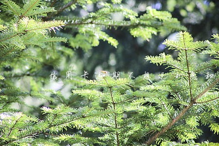 信用卡逾期不想还利息和滞纳金 信用卡逾期不想还利息和滞纳金