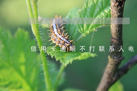 信用卡逾期不打联系人电话吗 信用卡逾期不打联系人电话吗