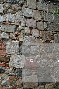 信用卡逾期不抓人的情况