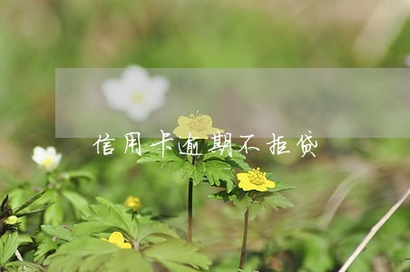信用卡逾期不拒贷 信用卡逾期不拒贷