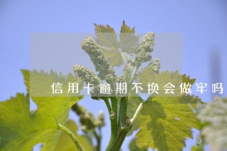 信用卡逾期不换会做牢吗 信用卡逾期不换会做牢吗