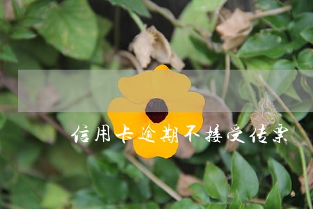 信用卡逾期不接受传票 信用卡逾期不接受传票