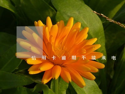 信用卡逾期不接来电 信用卡逾期不接来电
