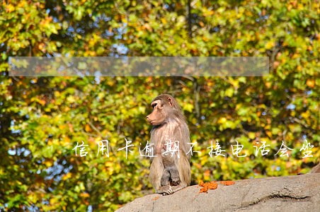 信用卡逾期不接电话会坐牢吗 信用卡逾期不接电话会坐牢吗
