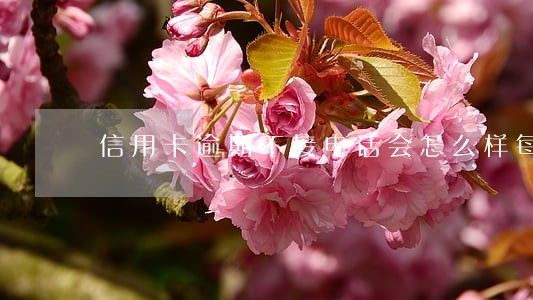 信用卡逾期不接电话会怎么样每月还几百 信用卡逾期不接电话会怎么样每月还几百