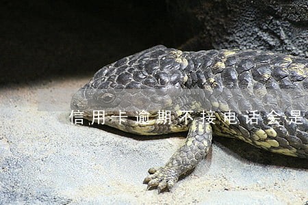 信用卡逾期不接电话会是什么后果 信用卡逾期不接电话会是什么后果