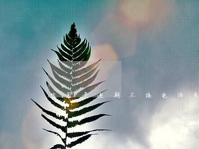 信用卡逾期不接电话是逃避欠款吗 信用卡逾期不接电话是逃避欠款吗