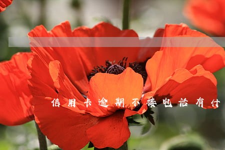 信用卡逾期不接电话有什么后果 信用卡逾期不接电话有什么后果
