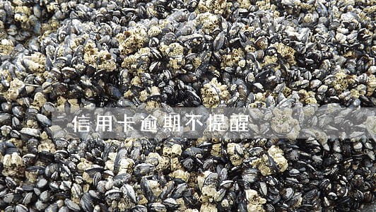 信用卡逾期不提醒 信用卡逾期不提醒