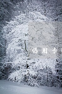 信用卡逾期不提额度吗