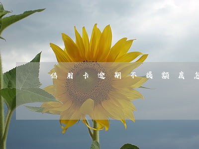 信用卡逾期不提额度怎么办 信用卡逾期不提额度怎么办