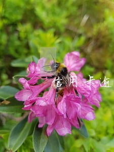 信用卡逾期不撤案会怎样 信用卡逾期不撤案会怎样