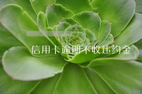 信用卡逾期不收违约金