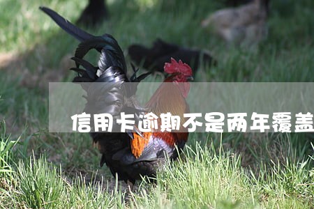 信用卡逾期不是两年覆盖吗 信用卡逾期不是两年覆盖吗