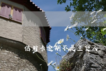 信用卡逾期不是主贷人