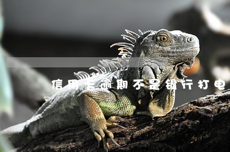 信用卡逾期不是银行打电话 信用卡逾期不是银行打电话