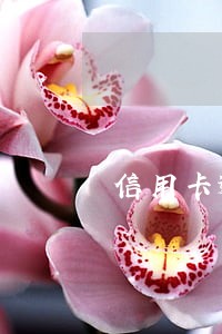 信用卡逾期不更新