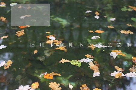 信用卡逾期不注销会影响征信吗 信用卡逾期不注销会影响征信吗