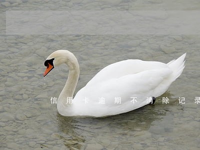 信用卡逾期不消除记录 信用卡逾期不消除记录