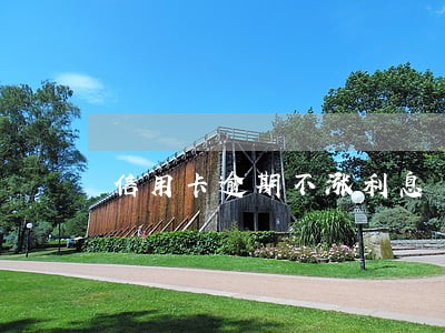 信用卡逾期不涨利息 信用卡逾期不涨利息