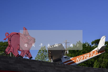 信用卡逾期不满5万元