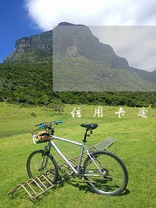 信用卡逾期不用还了 信用卡逾期不用还了