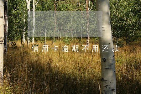 信用卡逾期不用还款 信用卡逾期不用还款