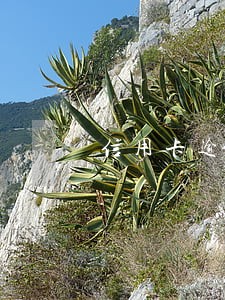 信用卡逾期不用还钱 信用卡逾期不用还钱