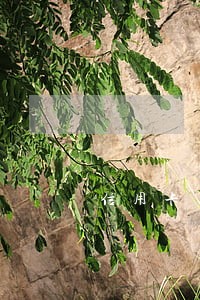 信用卡逾期不知情 信用卡逾期不知情