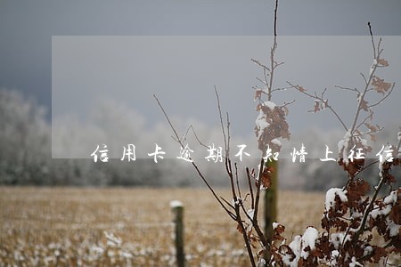 信用卡逾期不知情上征信了