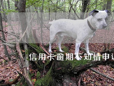 信用卡逾期不知情申诉 信用卡逾期不知情申诉