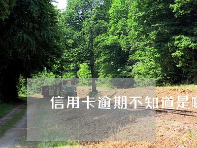 信用卡逾期不知道是哪张卡 信用卡逾期不知道是哪张卡