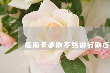 信用卡逾期不给做分期还款 信用卡逾期不给做分期还款