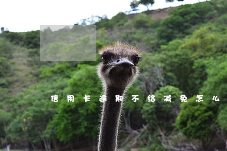 信用卡逾期不给减免怎么办 信用卡逾期不给减免怎么办