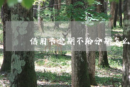 信用卡逾期不给分期怎么投诉