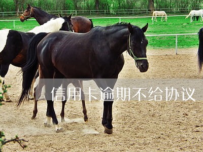 信用卡逾期不给协议 信用卡逾期不给协议