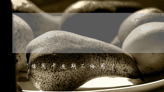 信用卡逾期不给用了 信用卡逾期不给用了