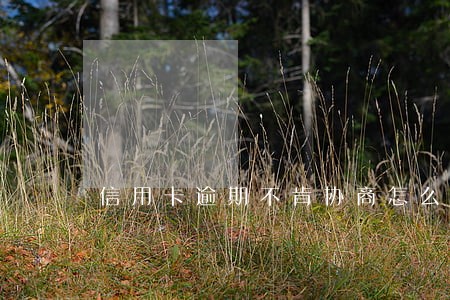 信用卡逾期不肯协商怎么办 信用卡逾期不肯协商怎么办