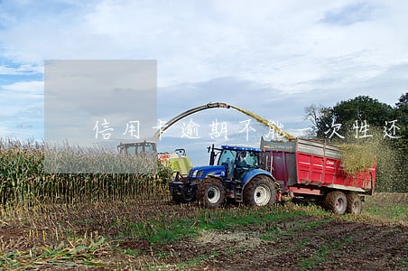 信用卡逾期不能一次性还清 信用卡逾期不能一次性还清