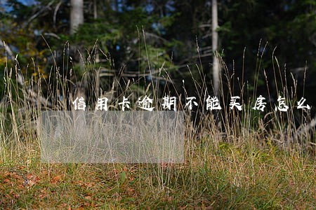 信用卡逾期不能买房怎么办 信用卡逾期不能买房怎么办