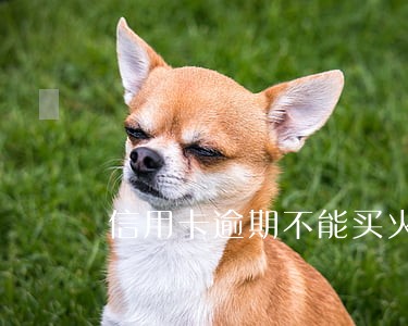 信用卡逾期不能买火车票吗 信用卡逾期不能买火车票吗