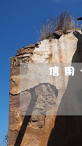 信用卡逾期不能交契税吗