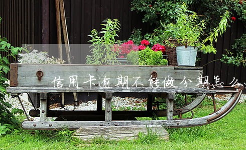 信用卡逾期不能做分期怎么办