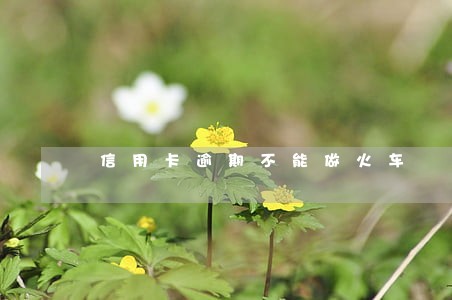 信用卡逾期不能做火车 信用卡逾期不能做火车