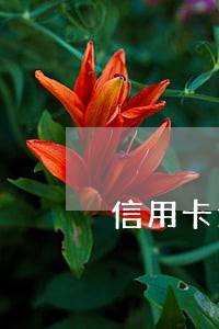 信用卡逾期不能停息挂帐怎么办